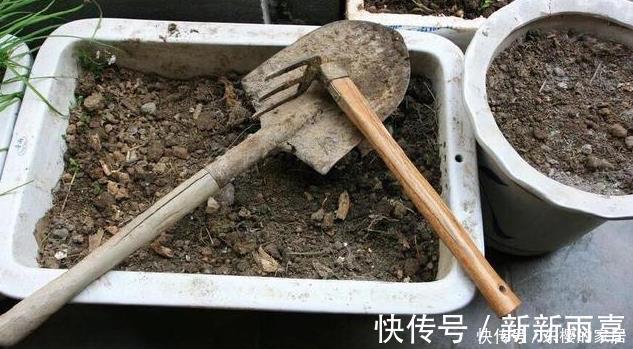 此些东西养花特别好,盆土一年不板结,花草长得旺、开的多又艳