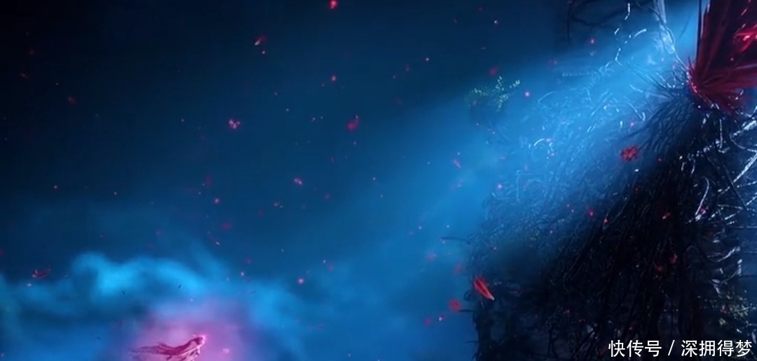 《斗罗大陆》一集封神，斩获上亿播放量？