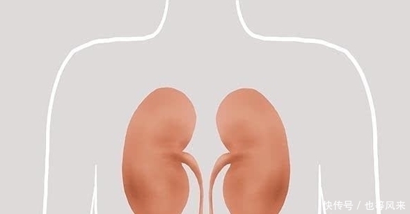 打通|中医总是说“三焦不通”,三焦到底是指什么如何打通三焦