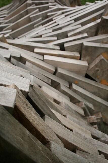 树木|树木切割是一门艺术