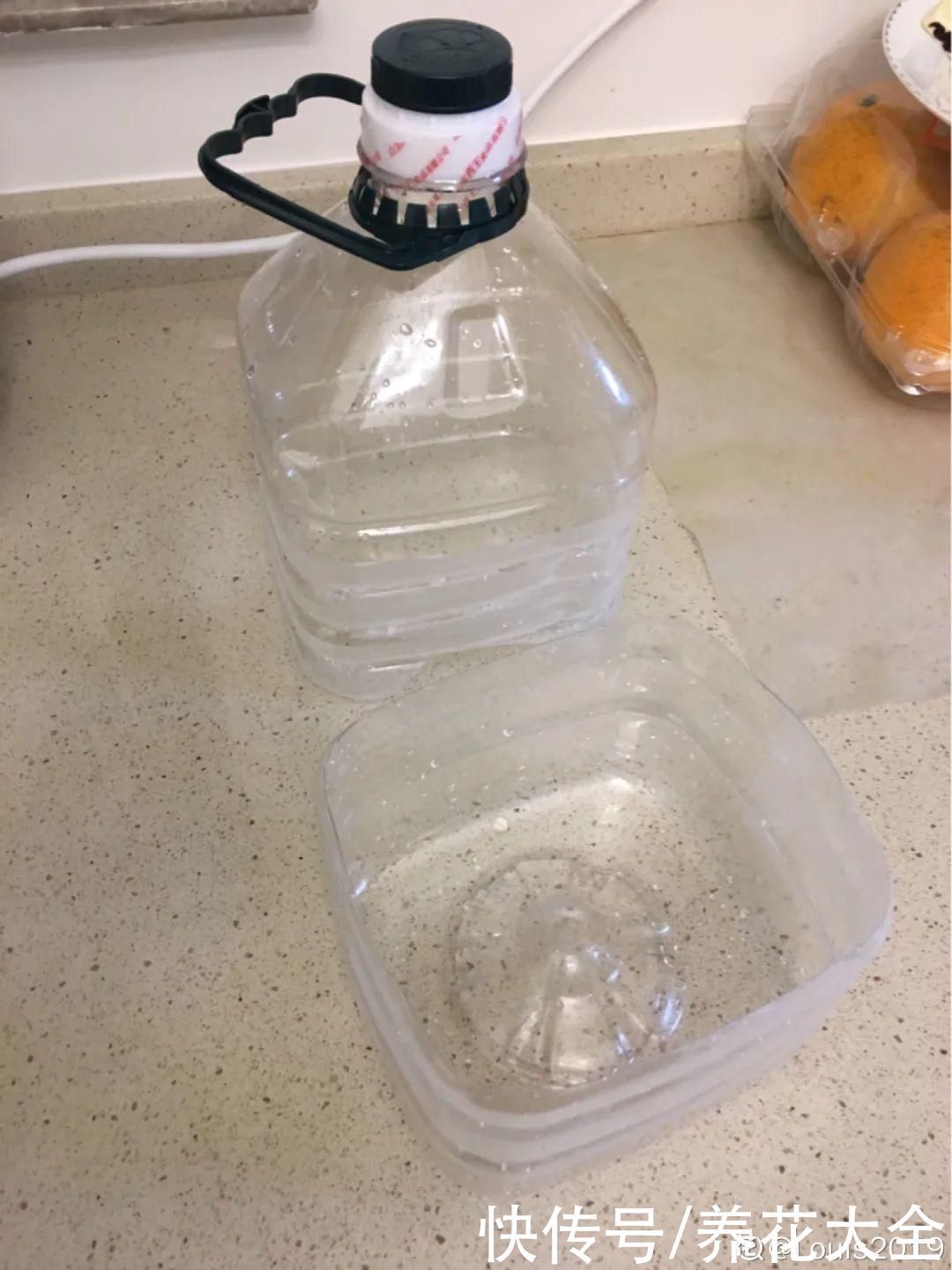 旧筷子、老干妈瓶别扔,拿来养花效果好,省下一笔养花钱