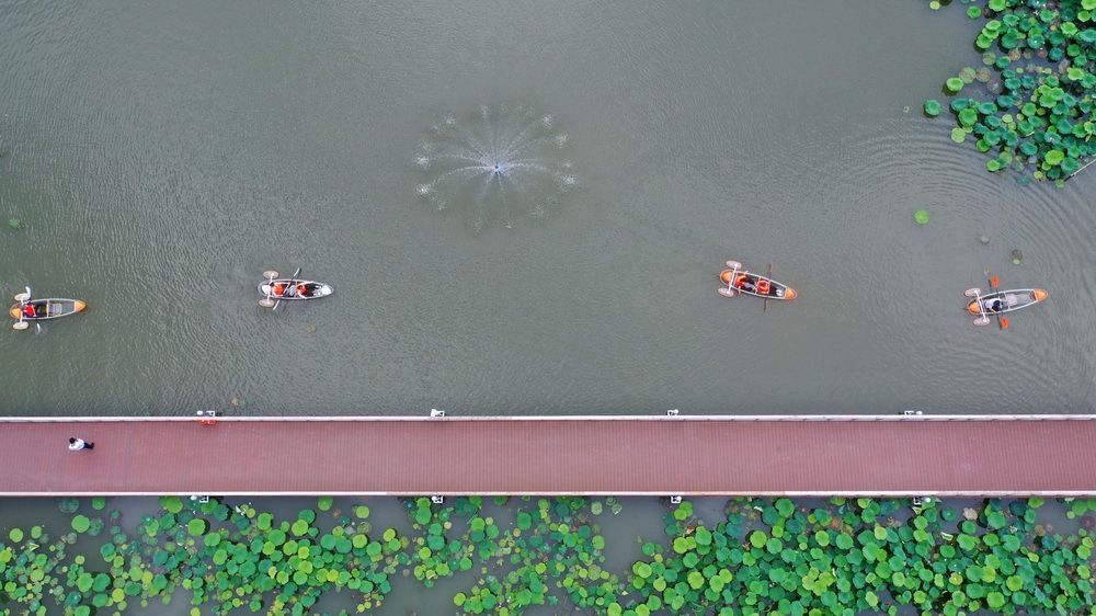 出游|端午节假期国内旅游出游超8913万人次