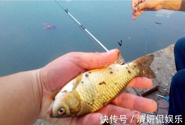 野钓高手的独门技巧，专门针对杂鱼闹窝、浮漂摇摆不定的难题！