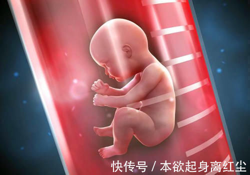 西京学院|32年过去了,中国首例“试管婴儿”已经长大生子,如今怎样了