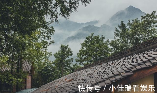 乡村路|“中国最美乡村路”又添一景，距4000年银杏仅3公里