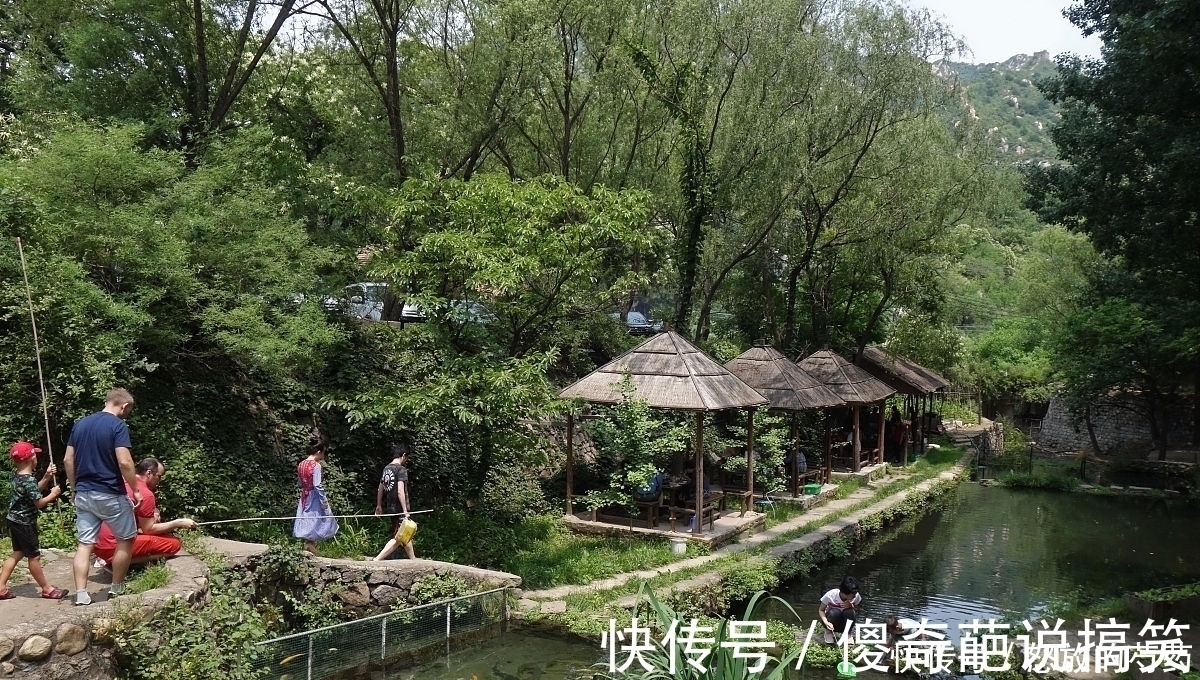 虽然水草处钓鱼效果不错,但忽视这5点,同样等于“”瞎胡跑”