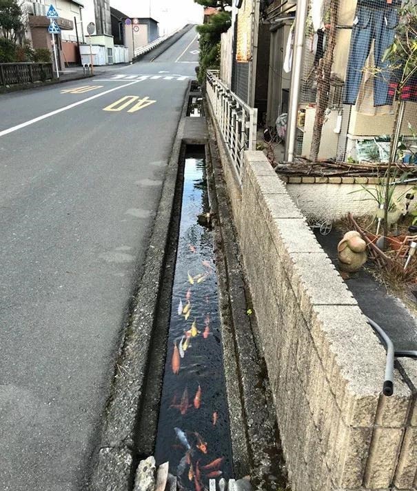 变态&“变态”到极致的日本,不愧是设计大国,处处可见人性化设计