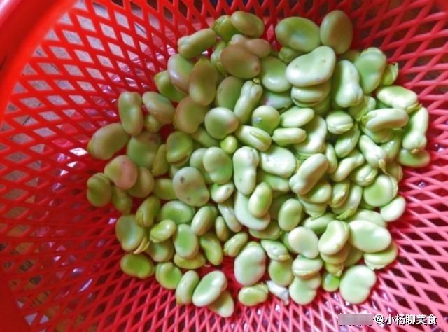 蚕豆|孩子宁愿不喝骨头汤,也要吃一点它,5.5元一斤,却能补钙补锌!