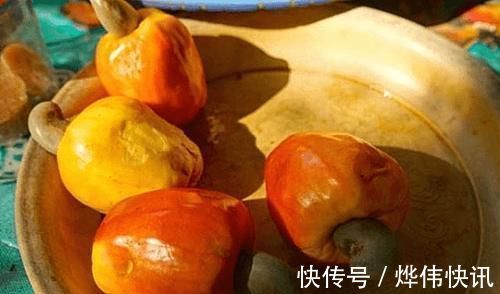 咳嗽|它是菜也是药,润肺又化痰,孩子常吃不咳嗽,很多人吃过却不知道