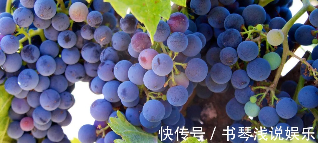 促睾|自然界唾手可得的“促睾食物”:许多健身人一无所知