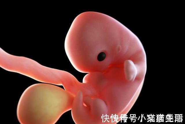 胎儿|怀孕1~40周,每周身体有何变化?送你一份“孕期清单表”!