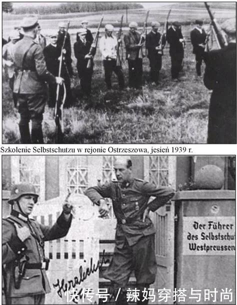 出身|贵族出身的暴徒,党卫军中将阿尔文斯勒本