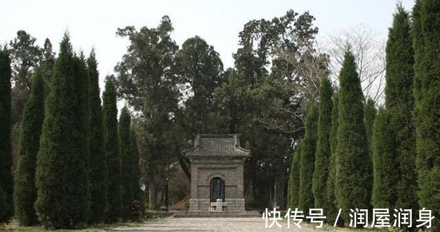 蒲松龄@1966年, 蒲松龄墓被挖现场, 革命小将大呼不可思议