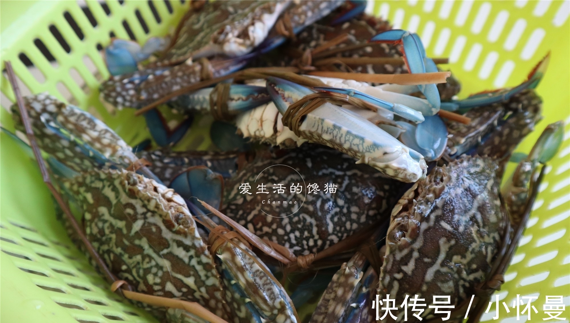 花蟹|老公说要吃海鲜,出门买了满满一桌,花了3百多,您看值不值?