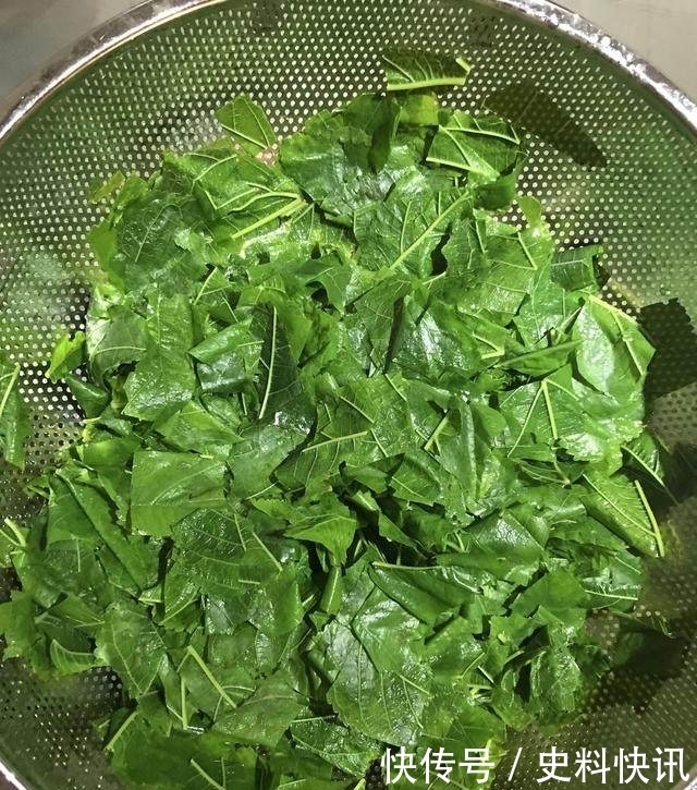 身体|坚持用蒲公英配桑叶泡水，一个月后身体有了4个神奇的变化！
