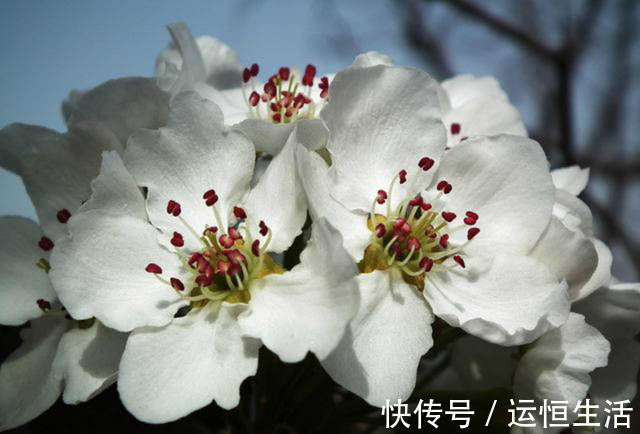 大道理|苏轼很有韵味的一首诗，告诉了我们一个大道理，做人要清清白白