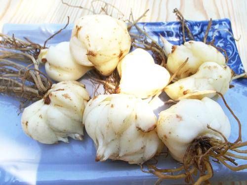 女性常吃这10种食物,补气养血,远离皱纹去斑点,面色红润不显老