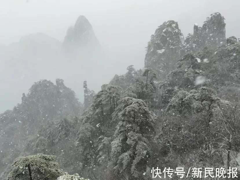 积雪|怕你不来，又怕你乱来，今天沪苏浙皖多少人在等一场雪