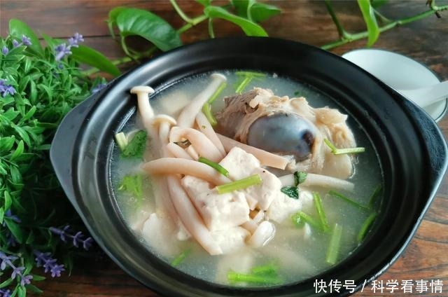 做菌菇豆腐汤,和这个食材一起煮,鲜香味美,香味扑鼻