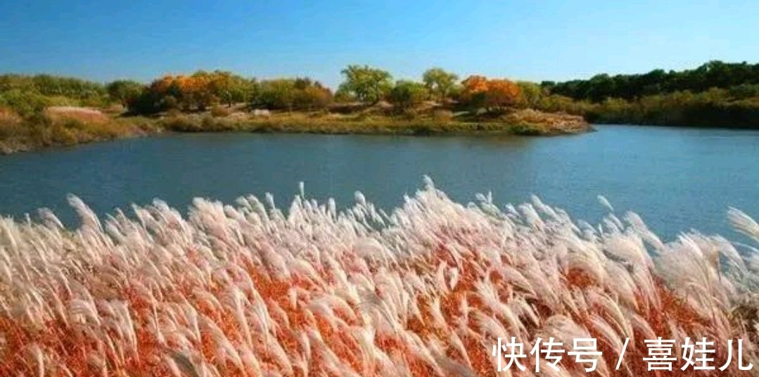 下联@野渡征联:月荡荻花登柳岸,征对下联