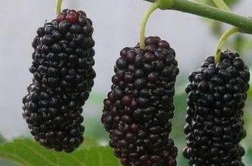 腹股沟|女生来月经时,多吃这4物,做好2件事,子宫干干净净,远离妇科病