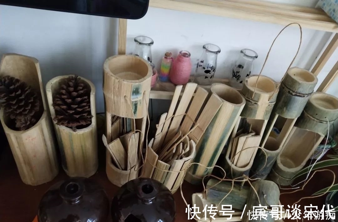 花园|养花技巧:客厅养一堆便宜花,一年四季开不停,没钱也能变花园!