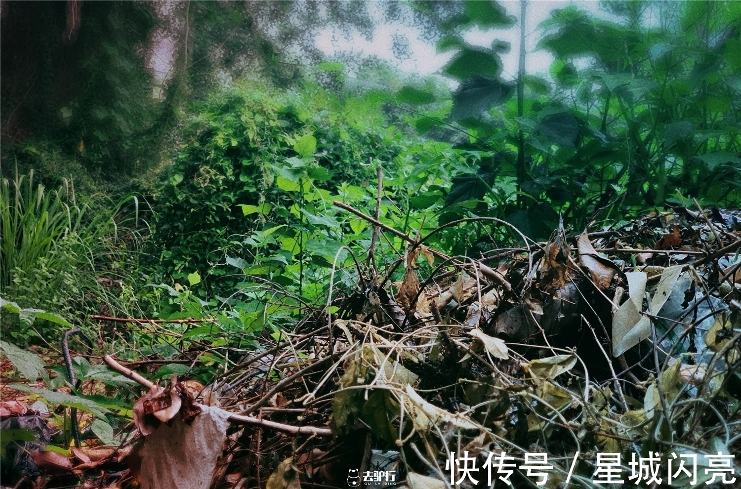 古宅|废弃的鼓浪屿豪宅:原主人至今下落不明,价值千万却成危房
