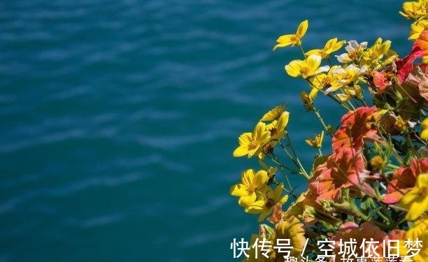 思念|7天后，鸳鸯成对，思念如疾，迎来转折，坚持内心，幸福一生