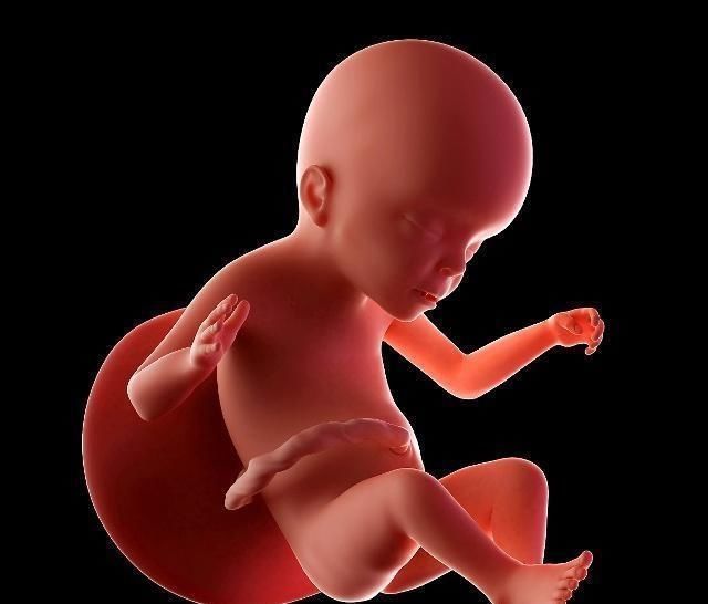 妈妈|孕期肚子总是一跳一跳的，若孕妈认为是胎动，就搞错了