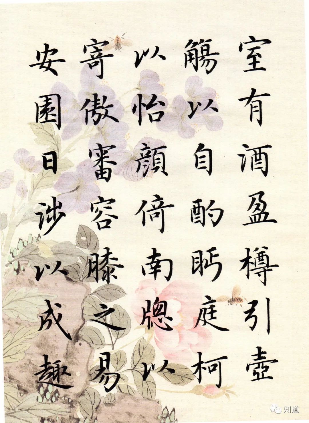 归去来兮辞&书法不可以自学,自学就等于自杀。书法培训老师都这么说