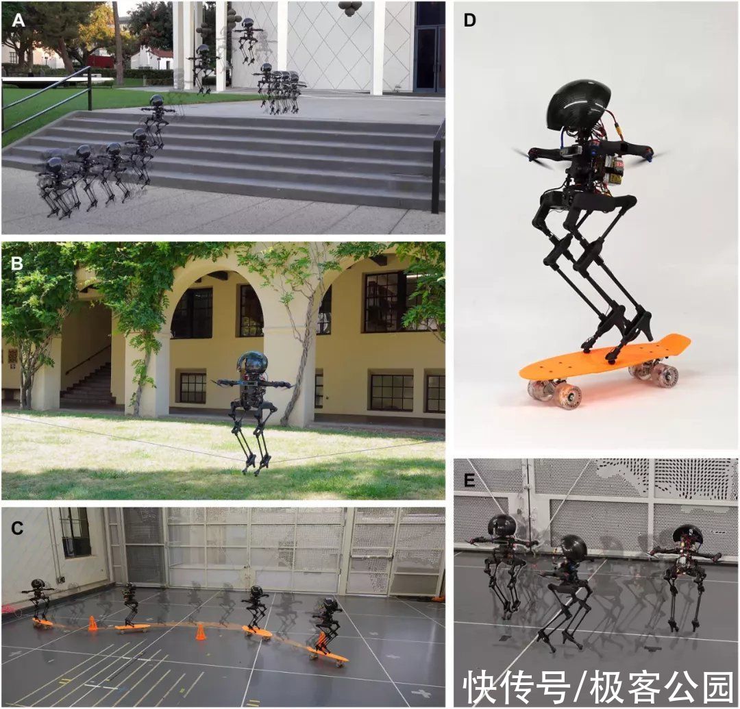 螺旋桨|能玩滑板、走钢丝的机器人，到底有多酷？