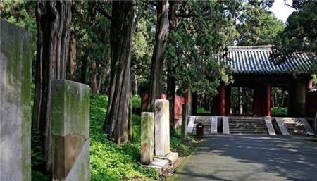 世界最大的家族墓地,坟冢超十万座,两千年来却乌鸦不栖蛇类远避