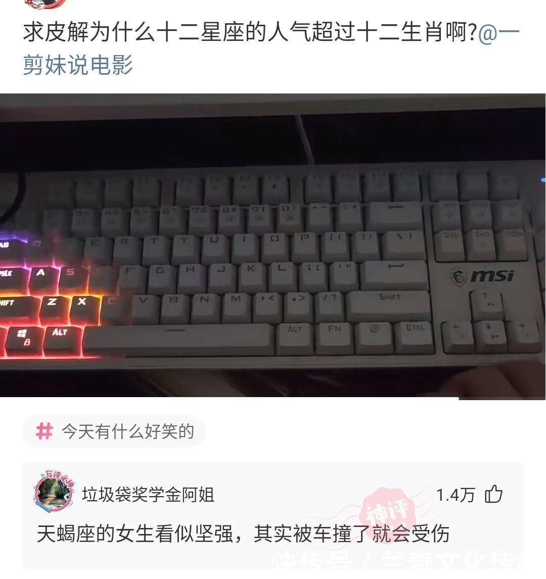 |搞笑神回复：小孩子才做选择，我全都要！【每日一笑】