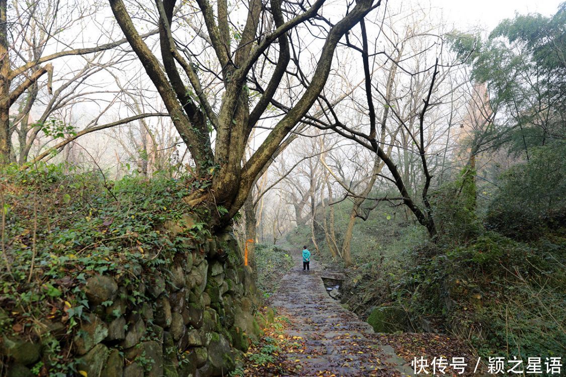 京西|燕窝古道，林山古道，梯形环线风光美