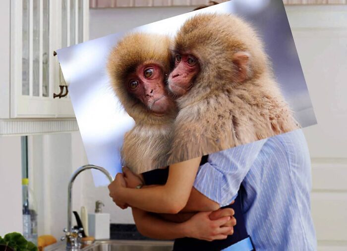 白雪公主!一组艺术家的疯狂照片拼贴画,白雪公主喝多也吐,建国的发现