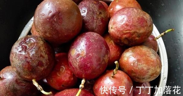 睡眠质量|失眠的“克星”终于找到了，坚持泡水喝，安神助眠好梦自然来！