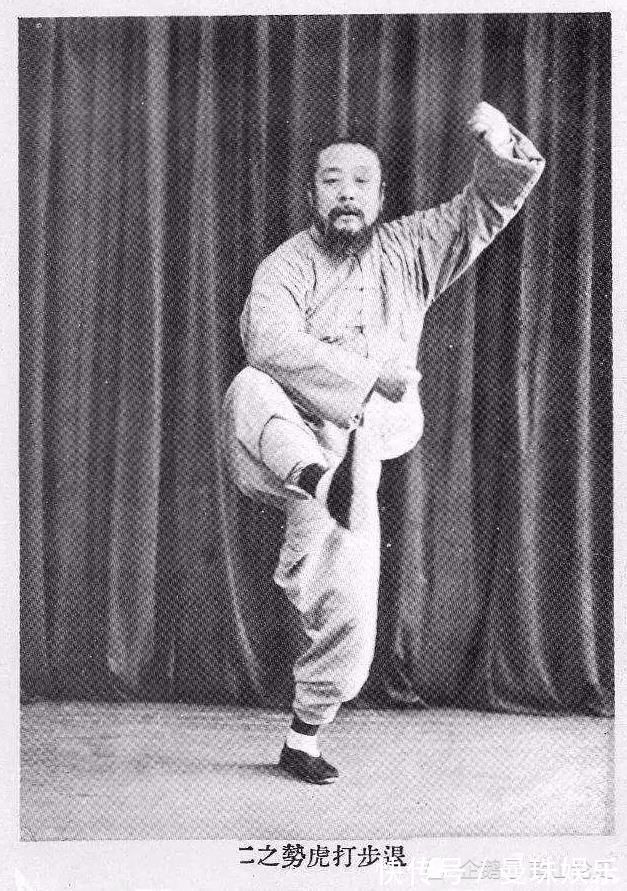 太极拳$浅谈杨禹廷的实战能力,90余岁依旧腰胯灵活,心肺正常耳目聪明