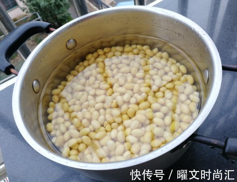 花芽|11月后养长寿花,2种花肥不能再用了,不然今年不开花,白养了