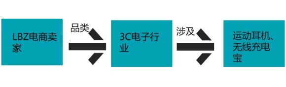 跨境电商新时代——战略锚点 平台站VS独立站