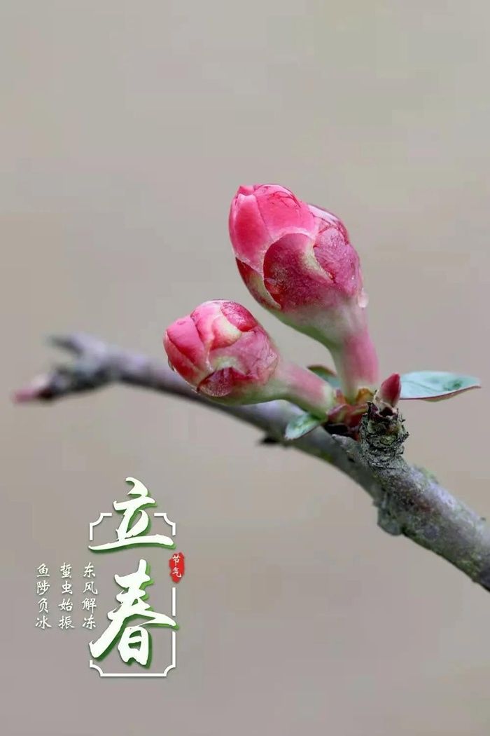 春雨|新华全媒+丨在中国古诗词里，寻找北京冬奥的“节气密码”