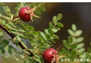 修养|真正修养高的人,都有这4个特质,有一个,都值得尊重