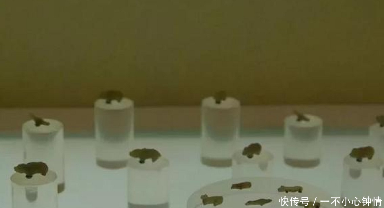 曾侯乙墓葬的发现轰动世界,他嘴里含那么多小动物,是干什么用的