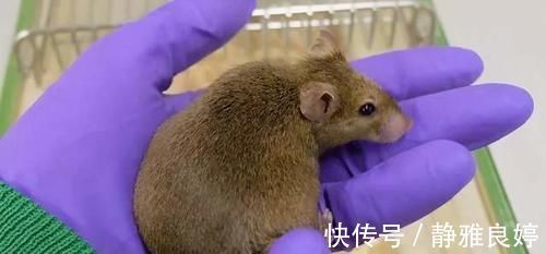 心血管疾病|“吃得越饱,死得越早”,有没有科学依据?权威机构研究出来了