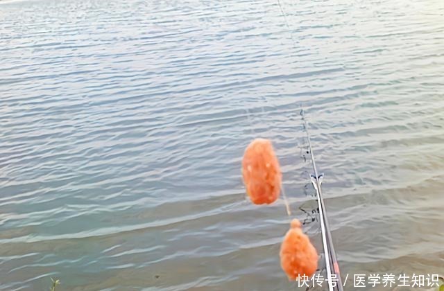 寒冬野钓，3个台钓习惯与板鲫无缘！大多数钓友还没明白