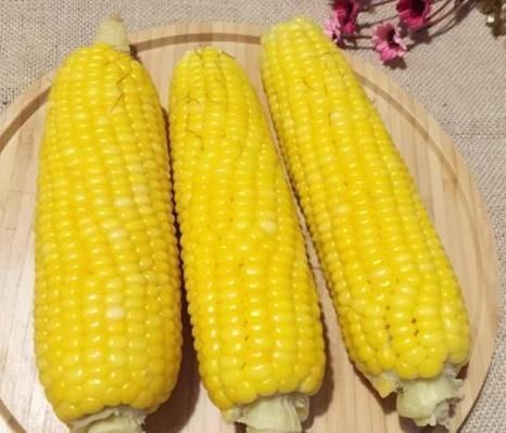 每天吃1节玉米,坚持2周,3个好处收入囊中,后悔没早点吃!