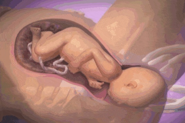 顺产|顺产到底有多疼,给你们看完这18图片,就能真正理解女人不容易