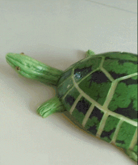 |搞笑gif:女朋友今天送了我个这东西,请问啥意思?