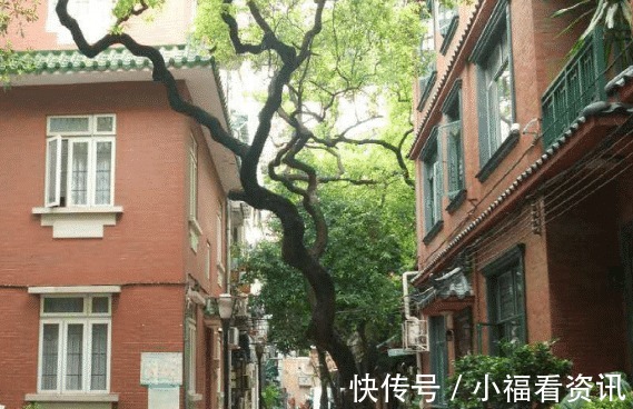 楼层|别管一栋楼有多少层,买房就选3大楼层,升值快又抢手