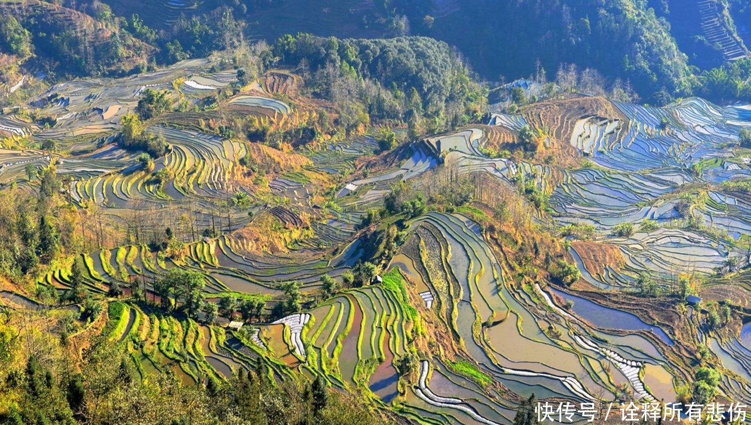 云南有一处世界遗产——红河哈尼梯田，它具体位置在哪呢？