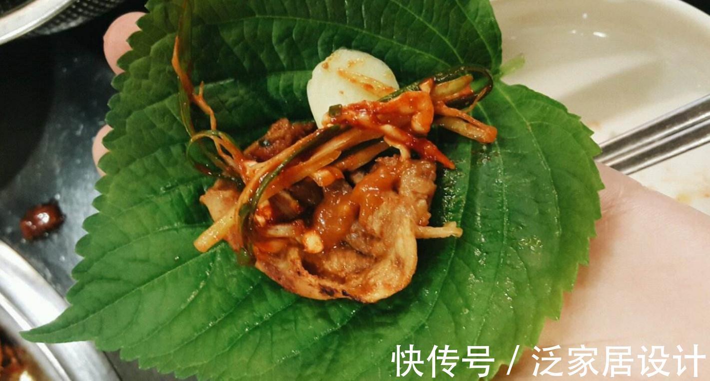 迷迭香|6种“漂亮花”,阳台种一盆,能凉拌能泡茶,生长泼辣,开花多